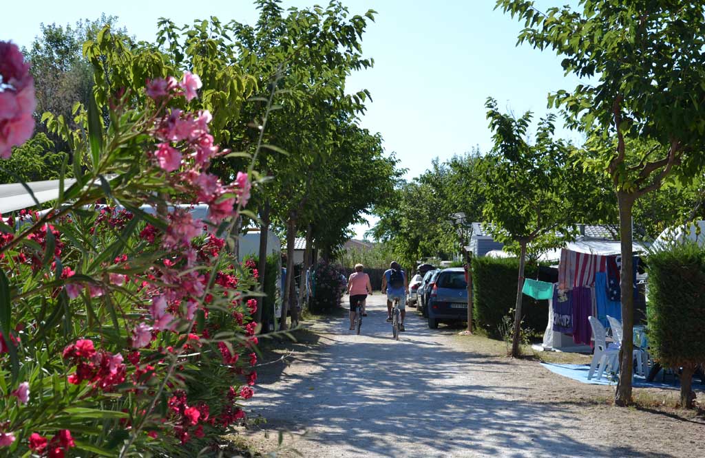 Allée du camping Les Galets